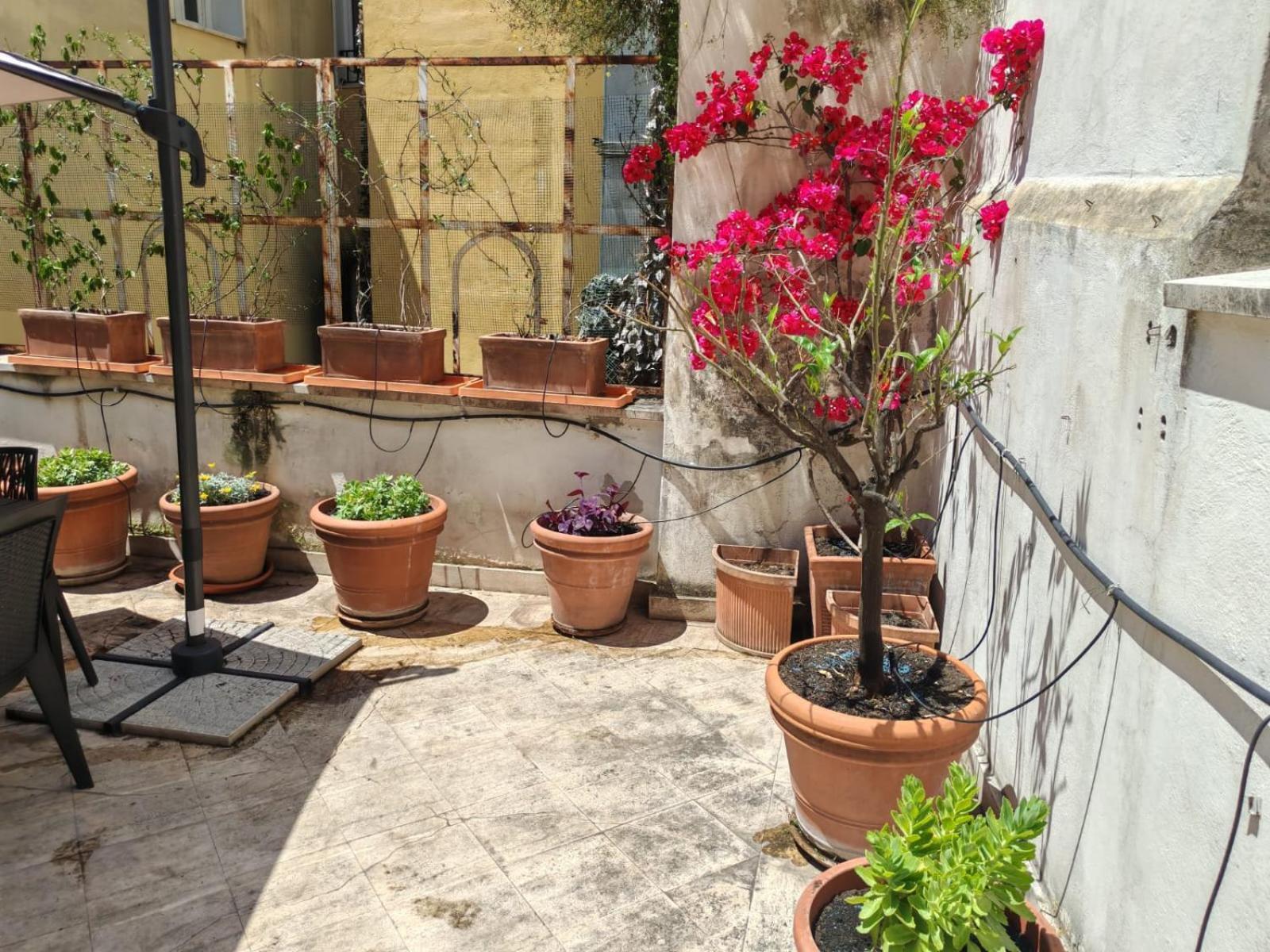Apartamento Casa Storica 4bdr Con Terrazza A Campo De Fiori *